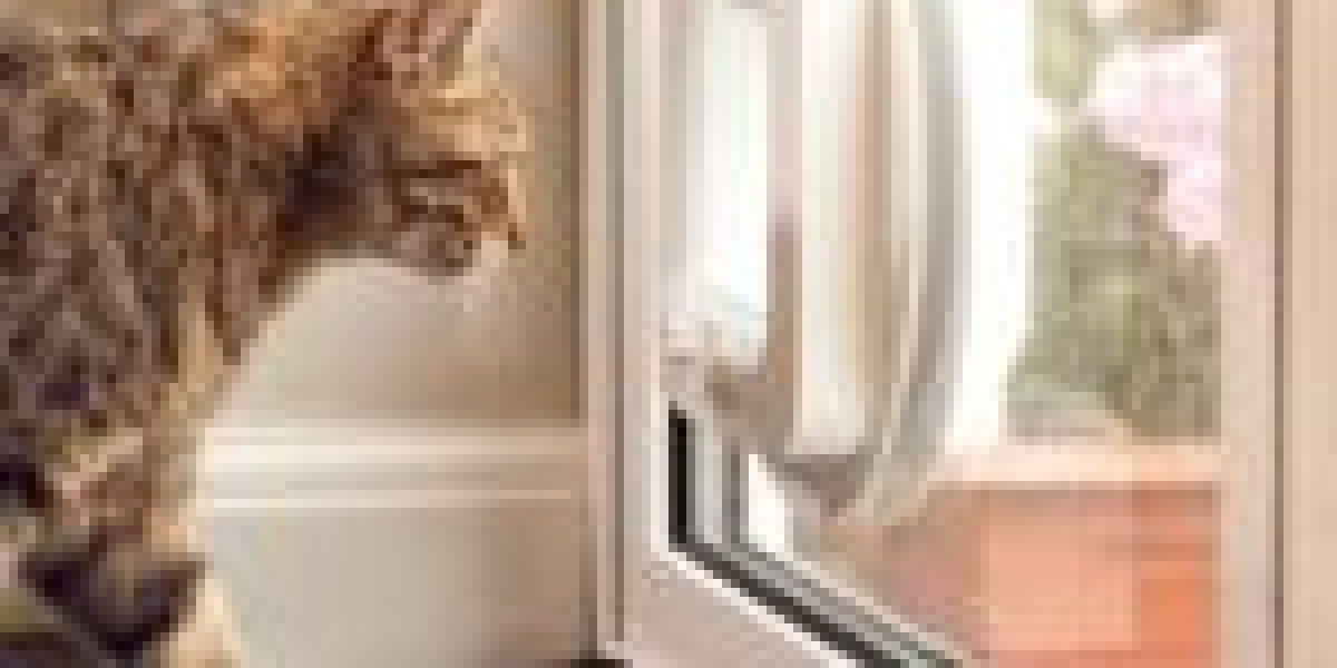 It's Time To Forget Cat Flap Installation Service: 10 Reasons Why You Don't Really Need It