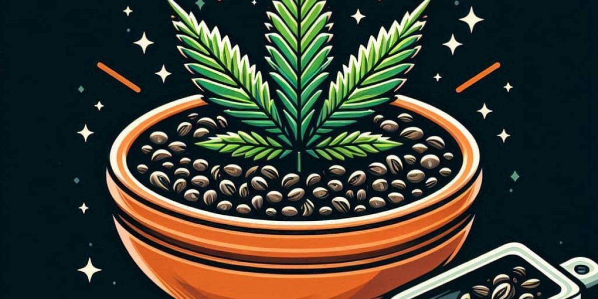 The Unique Experience of Jack Herer Cannabis Seeds