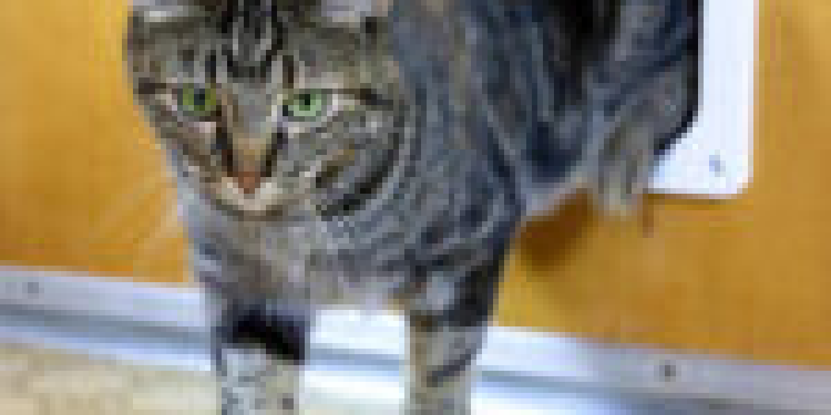 9 Lessons Your Parents Taught You About Professional Cat Flap Installer